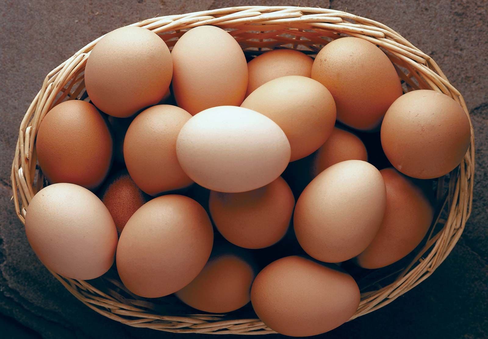 Fresh daily eggs